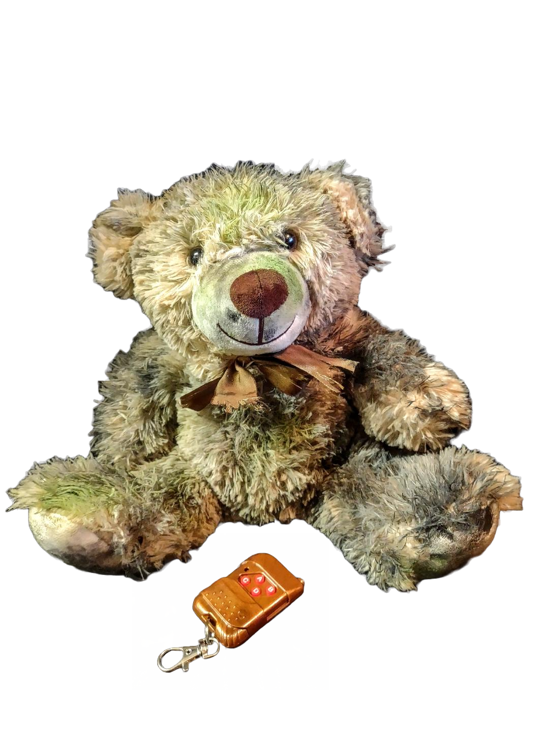 Bear Scare